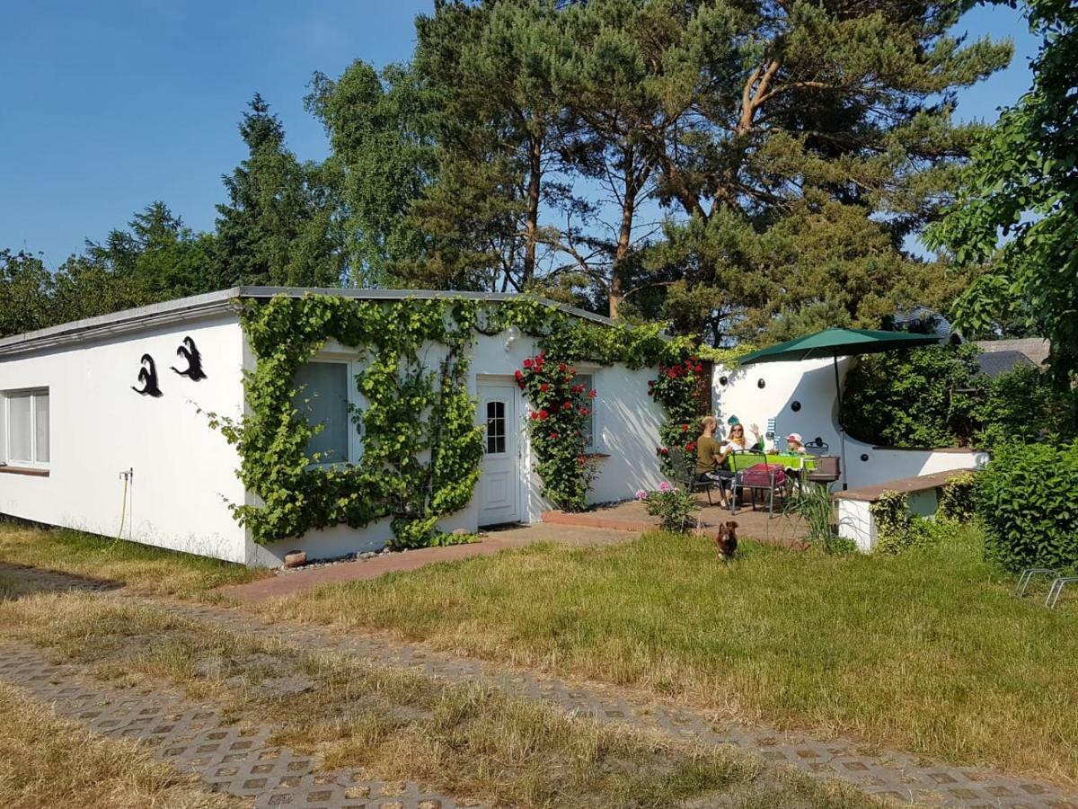 Ferienhaeuschen Villa Born Exterior photo