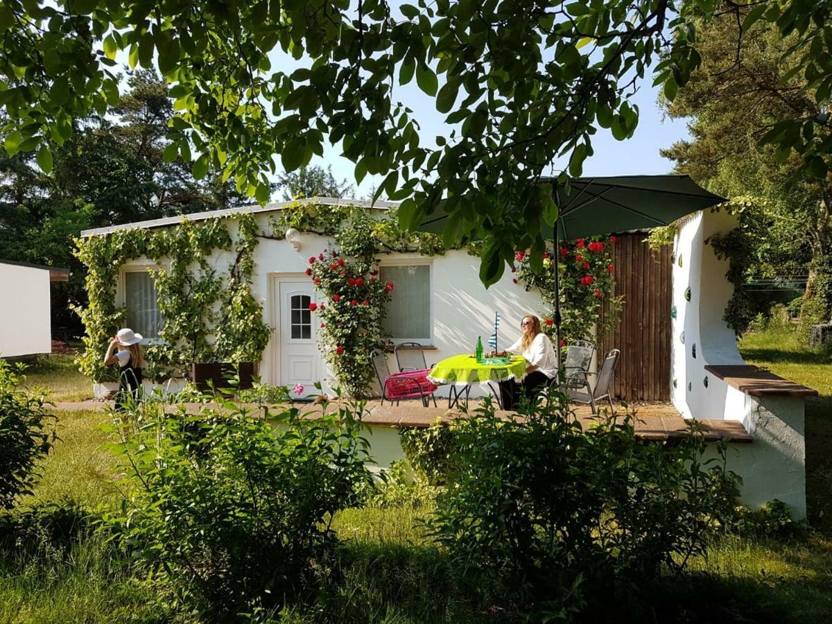 Ferienhaeuschen Villa Born Exterior photo
