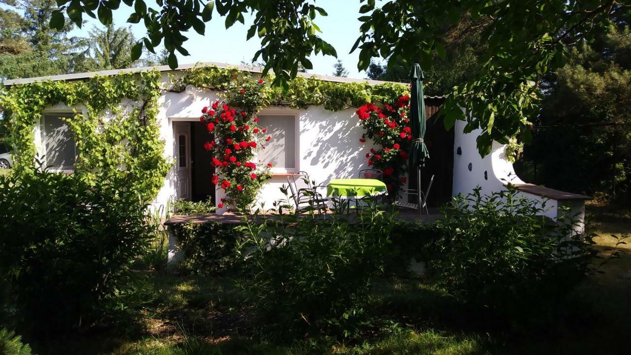 Ferienhaeuschen Villa Born Exterior photo